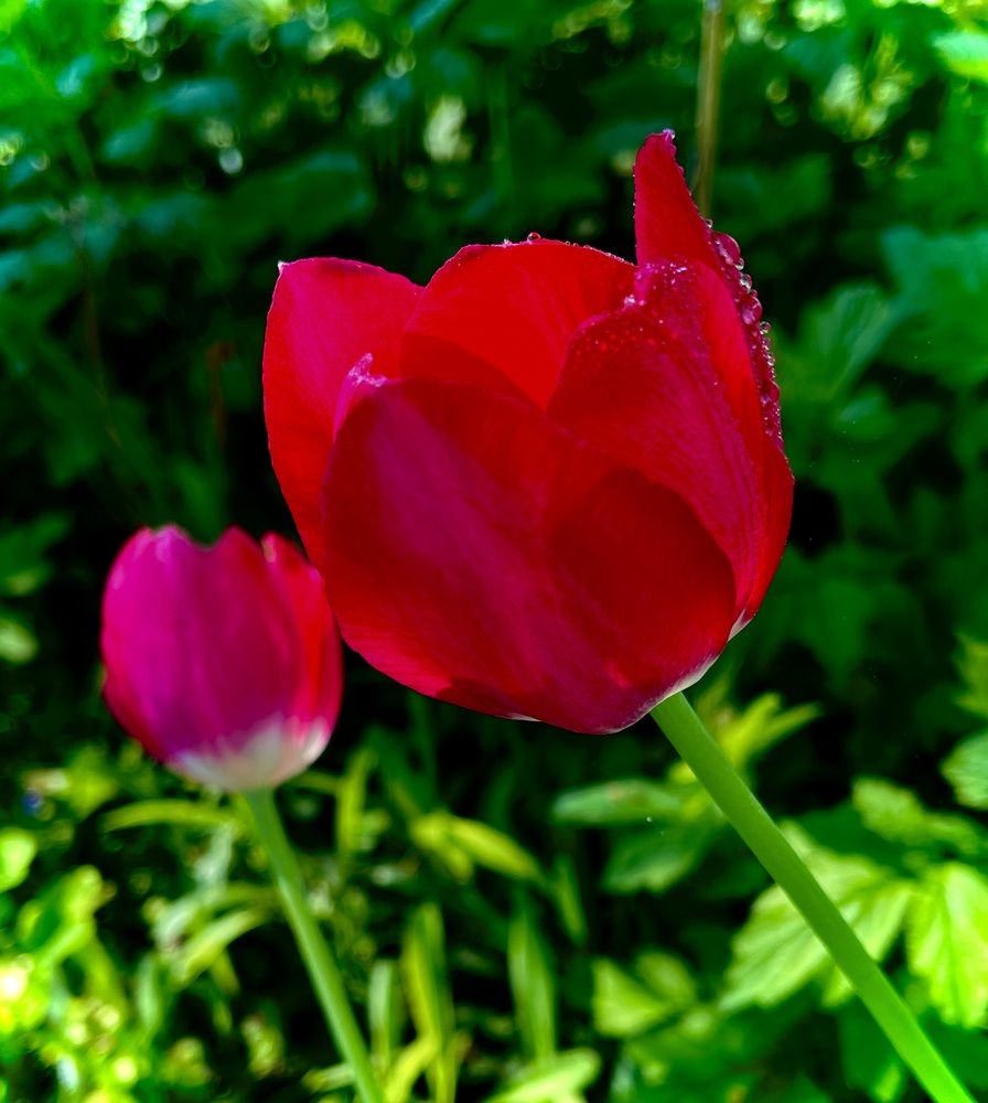 Photograph by Марина Козлова