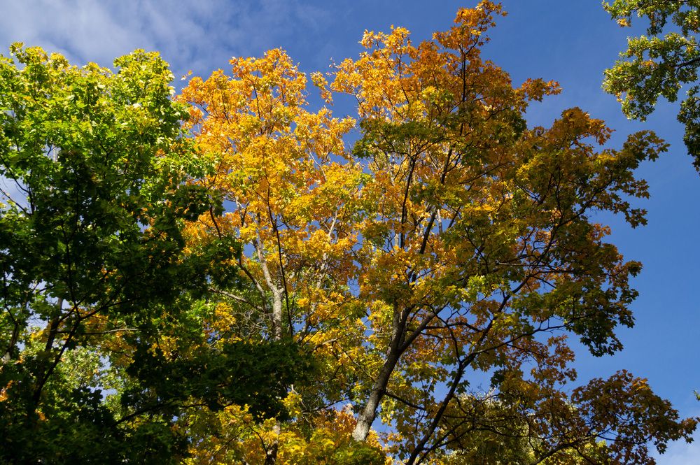 Photograph by Ирина Филиппова