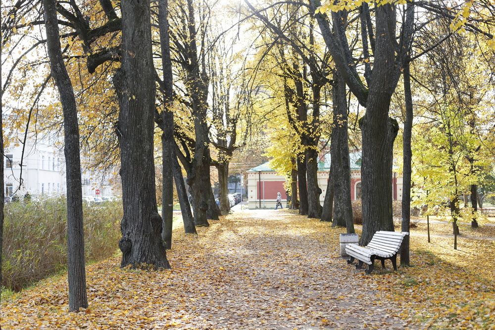 Photograph by Геннадий Капунов