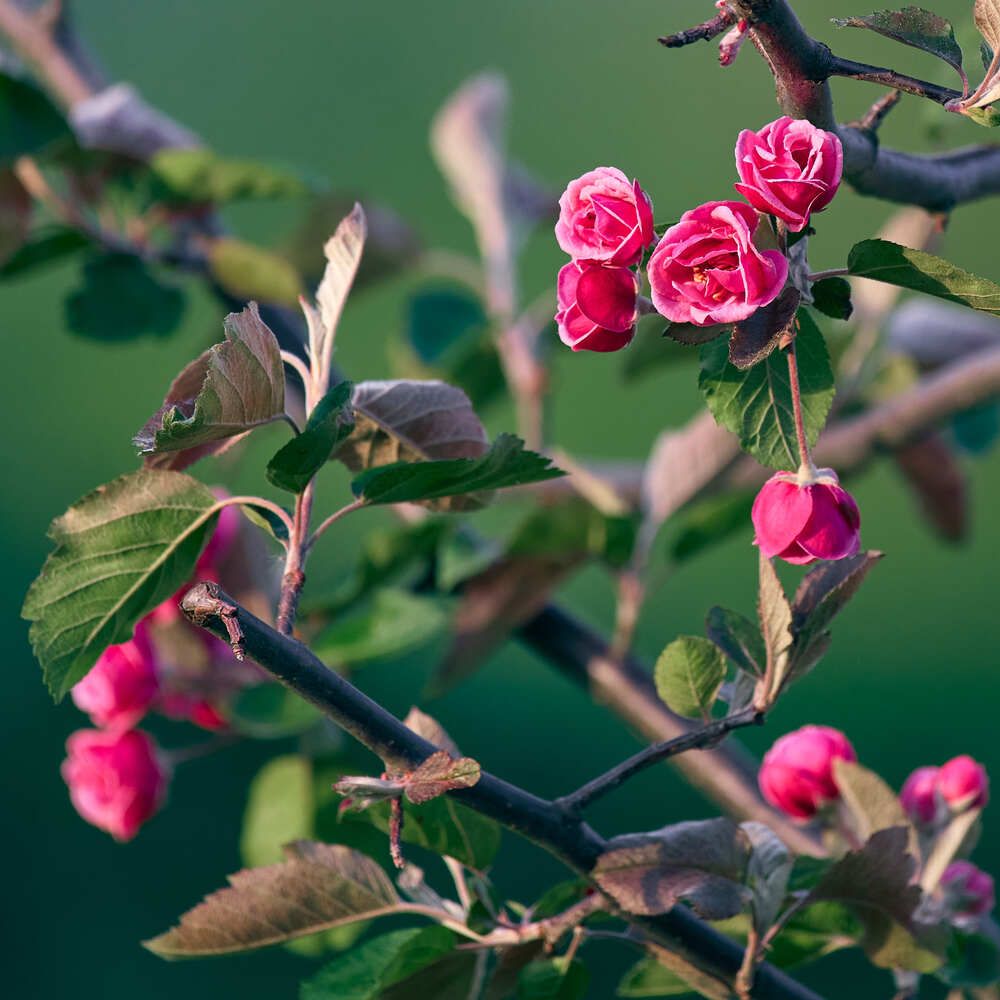 Photograph by Mikhail Khmelevskiy