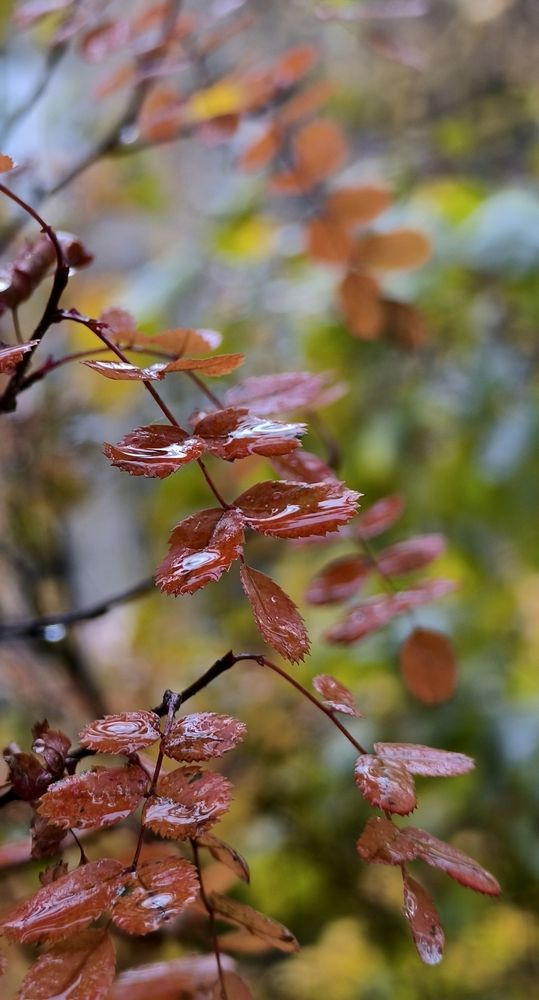 Photograph by Наталия