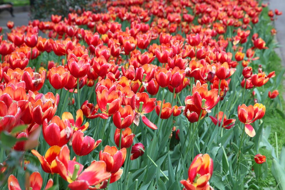 Photograph by Евгений Балакин