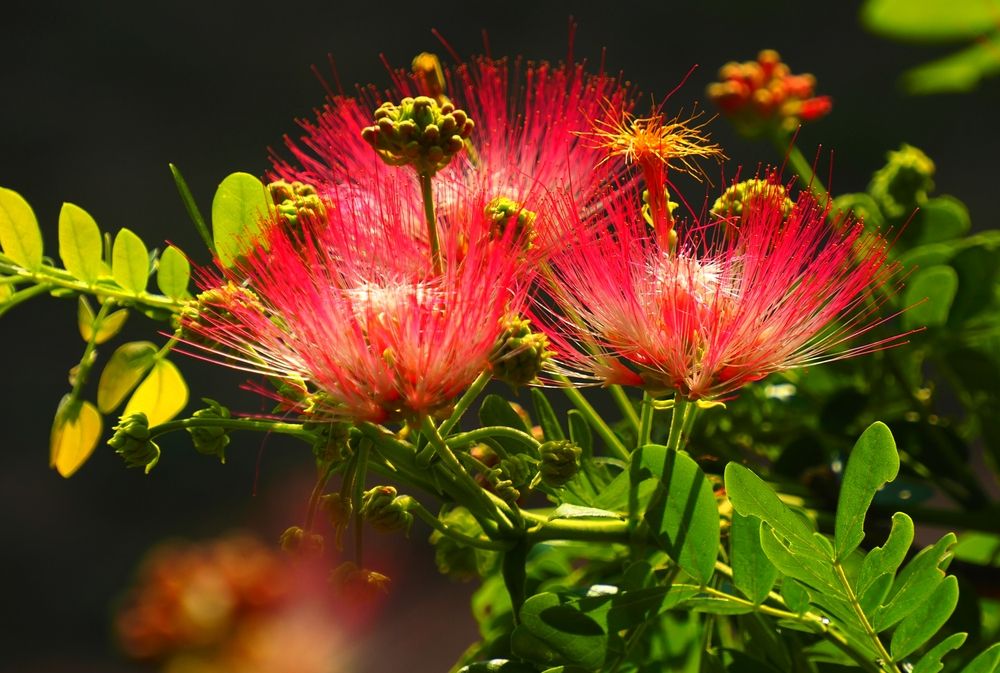 Photograph by ANDREY PERESHEIN