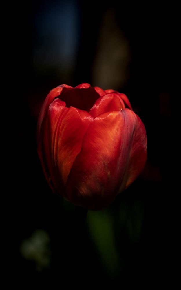 Photograph by Иван Весельников