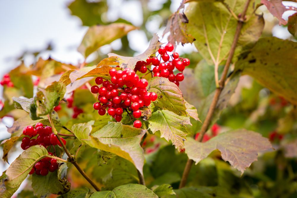 Photograph by Евгений Балакин