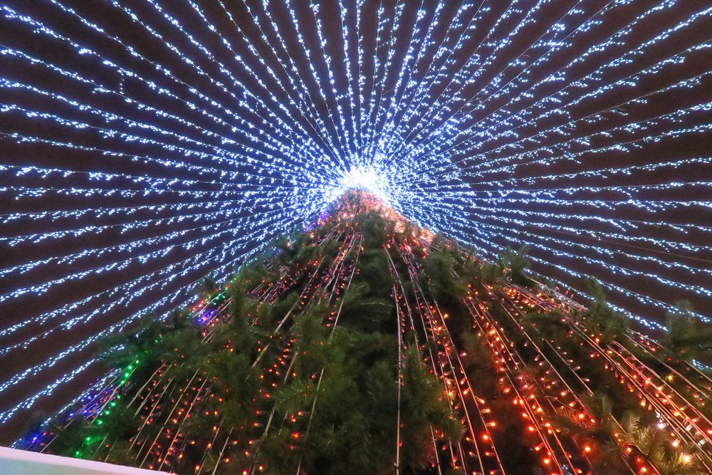 Photograph by Орл Про