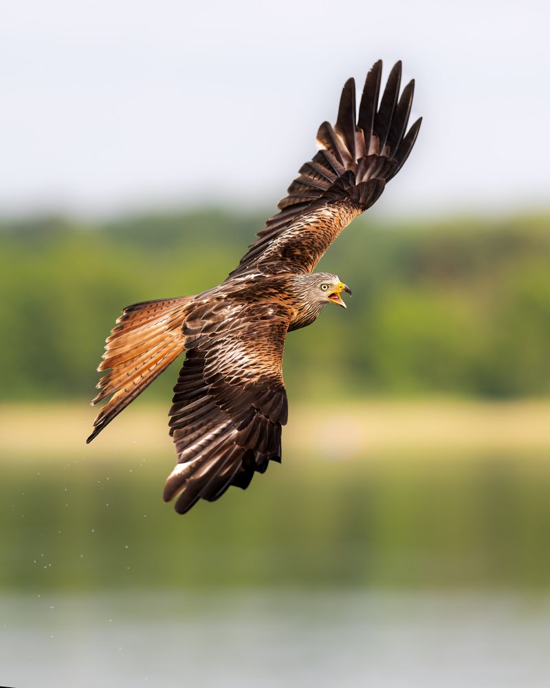 Photograph by Ruzhdi Ibrahimi
