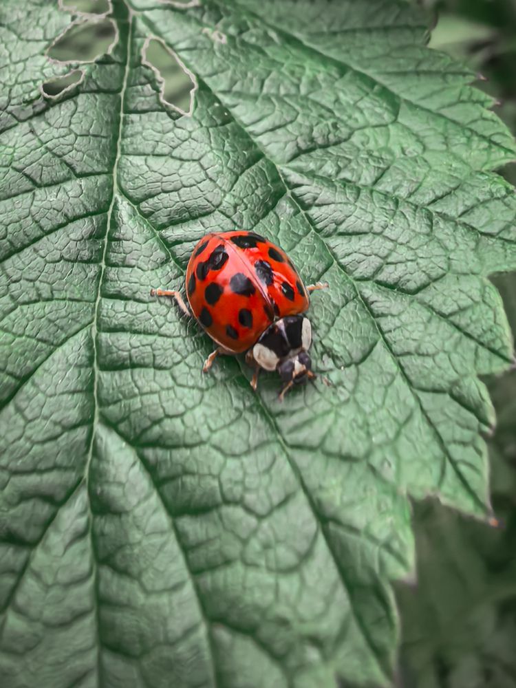 Photograph by Svetlana Esina