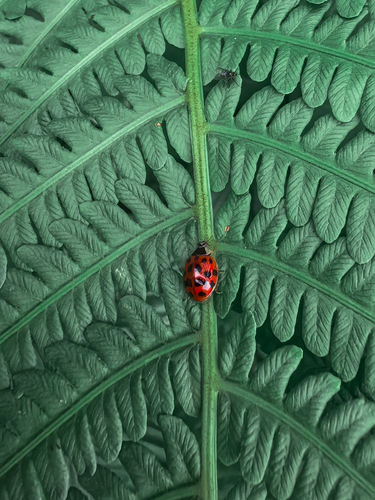 Photograph by Svetlana Esina