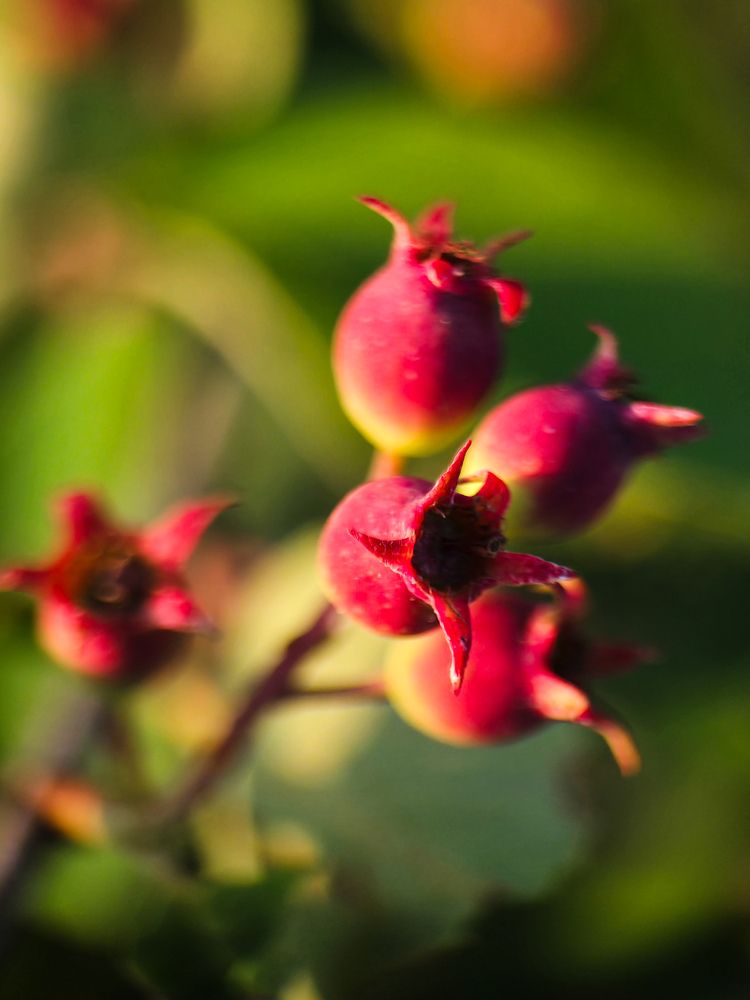 Photograph by Ирина Хлебникова