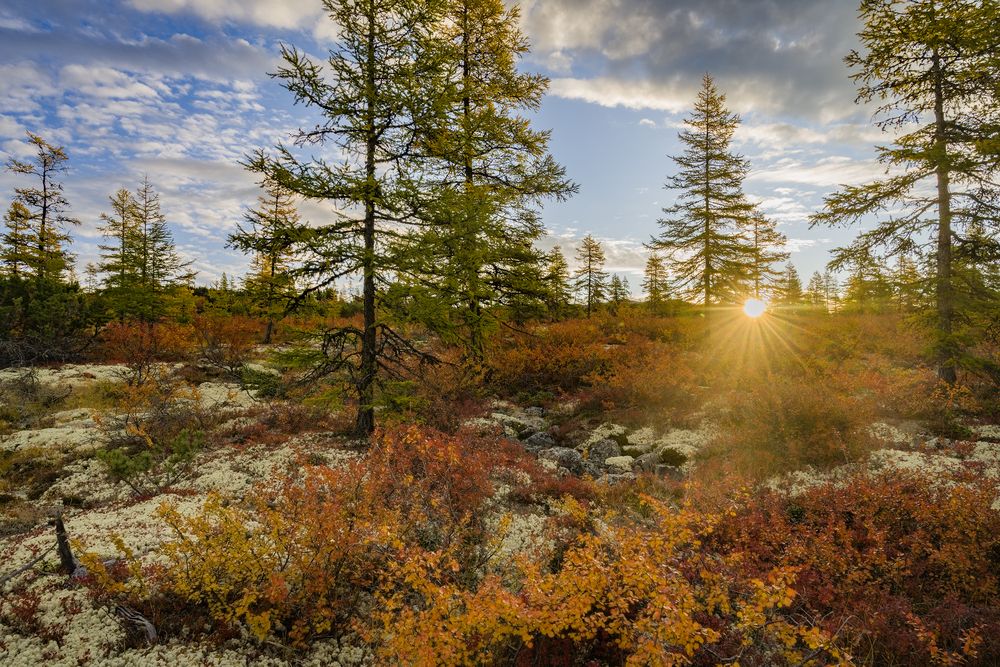 Photograph by Татьяна Решетникова