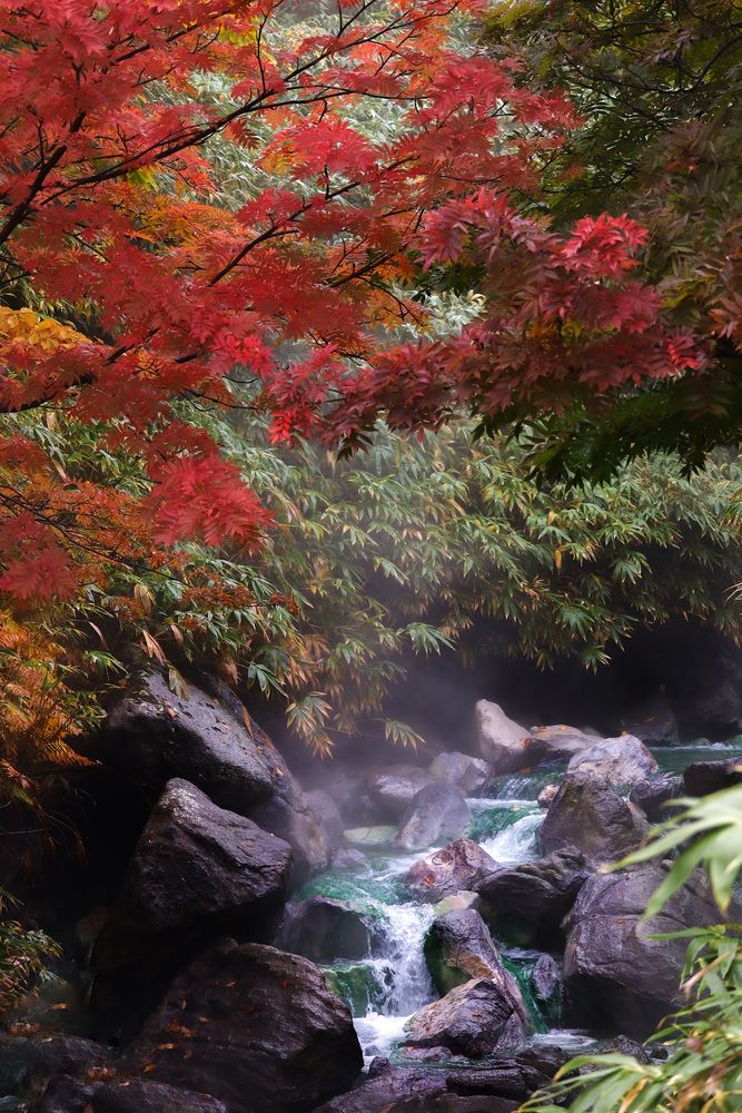 Photograph by Ксения Никифорова