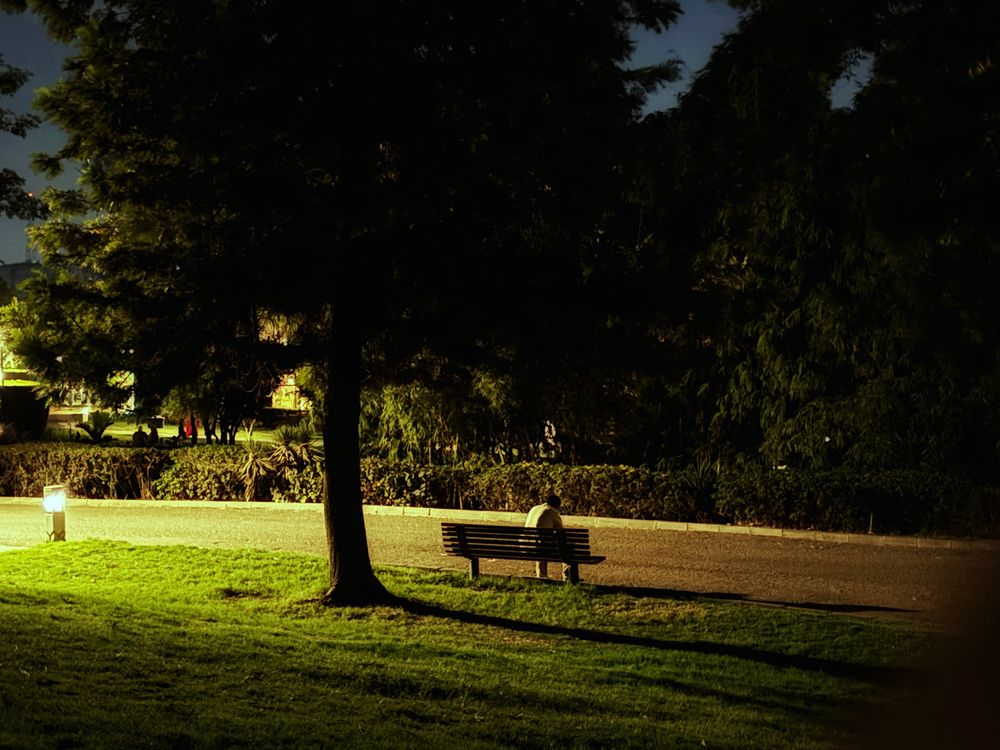 Photograph by Moamen Khaled