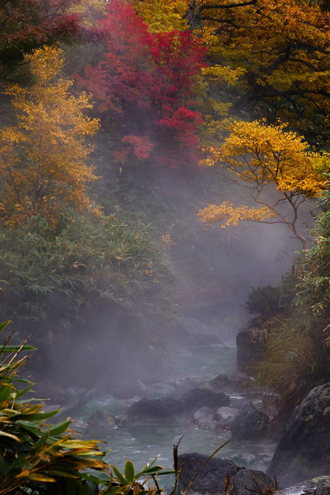 Photograph by Ксения Никифорова