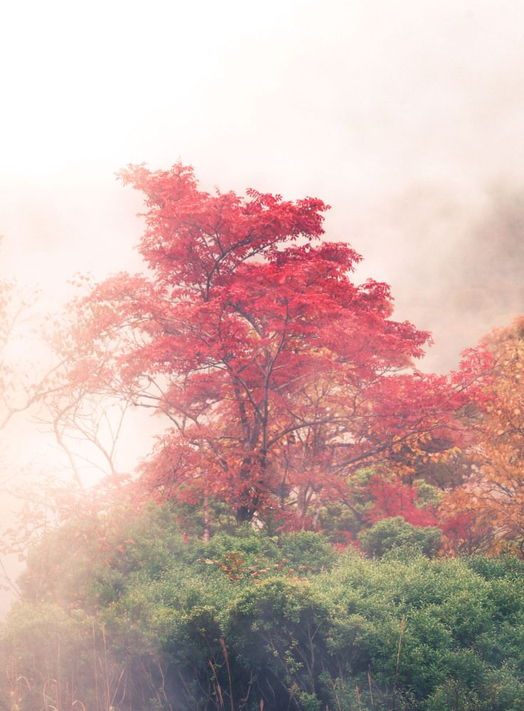 Photograph by Ксения Никифорова