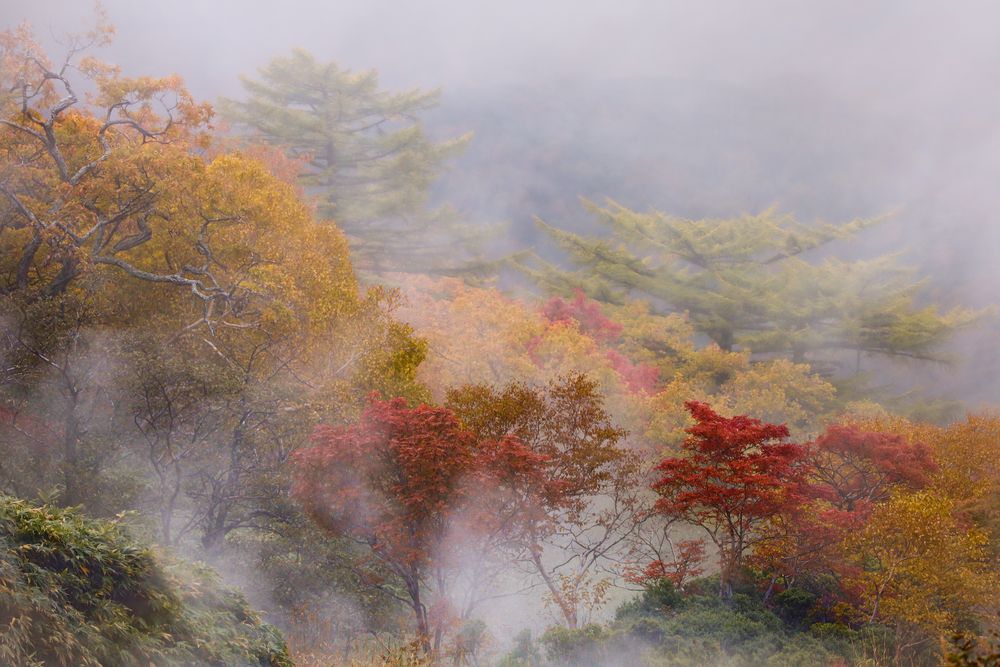 Photograph by Ксения Никифорова