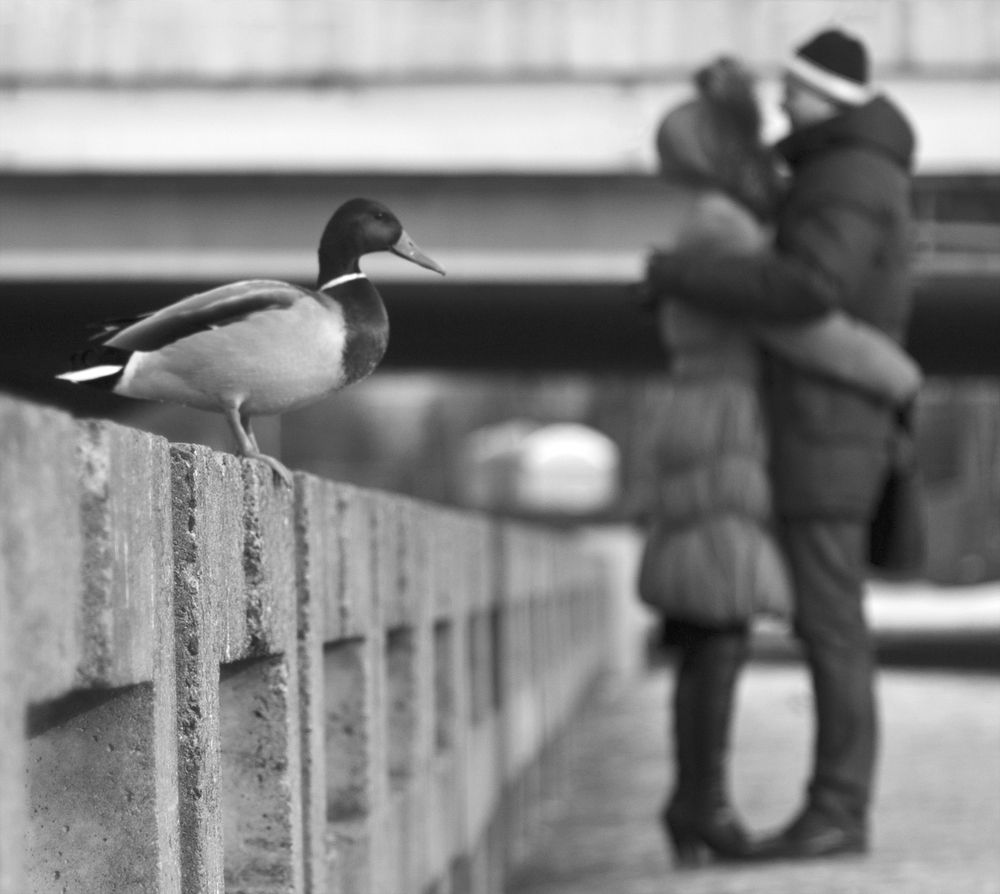 Photograph by Роман Филиповец