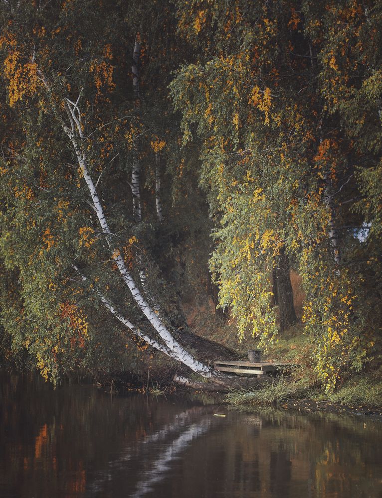 Photograph by Роман Филиповец
