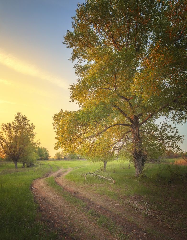 Photograph by Роман Филиповец