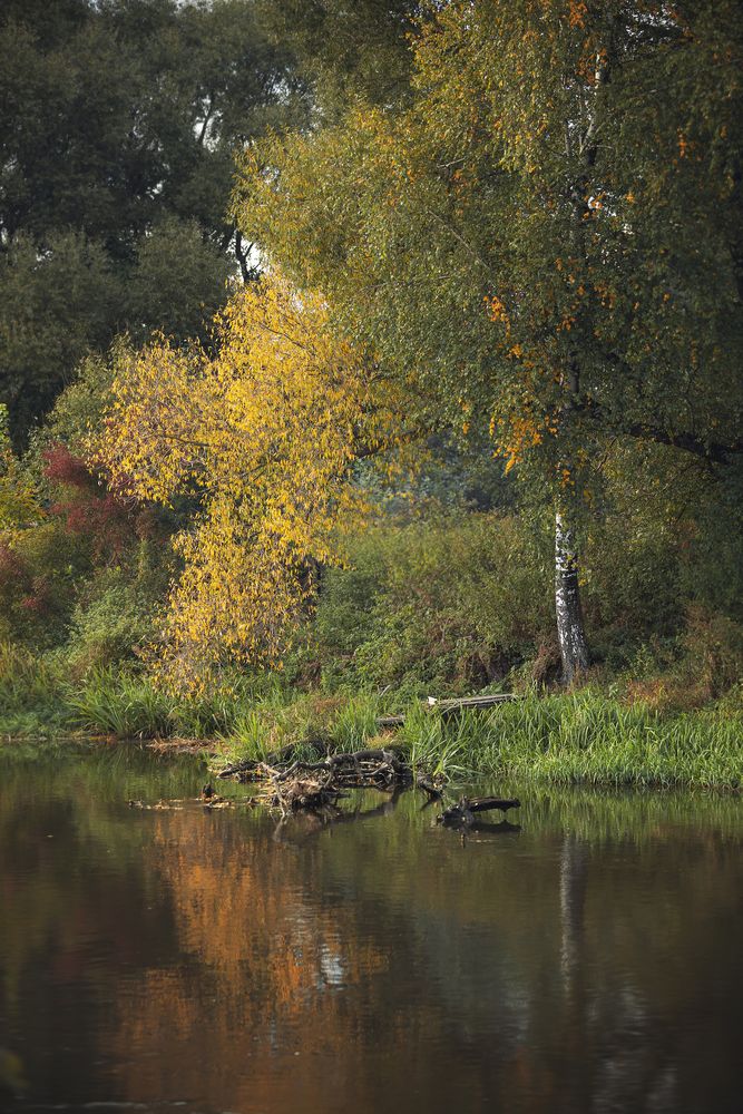 Photograph by Роман Филиповец