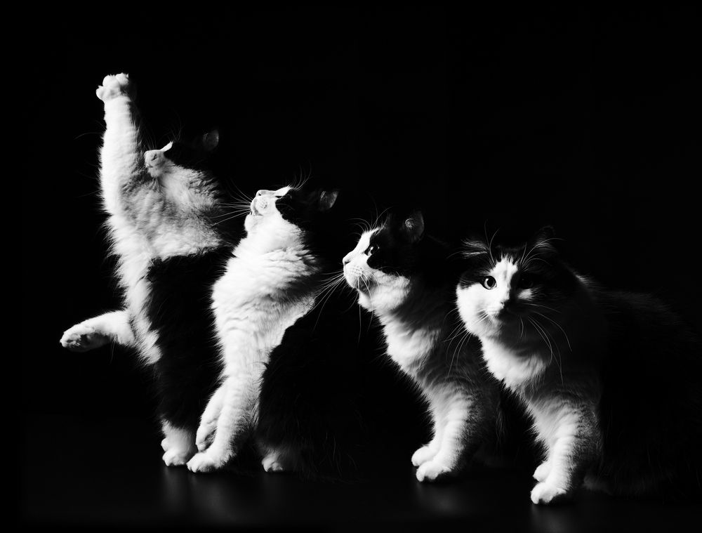 Photograph by Анна Опанасенко