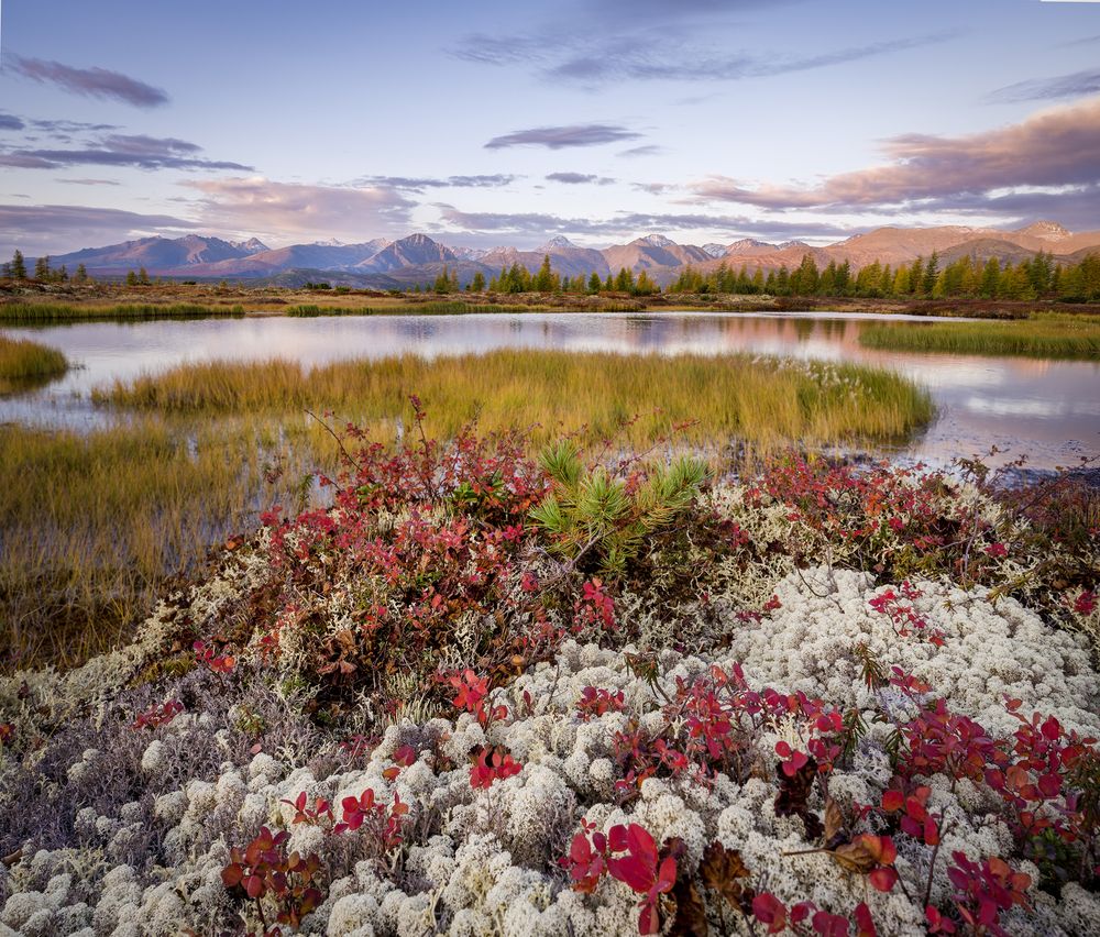 Photograph by Татьяна Решетникова
