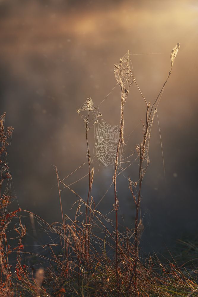 Photograph by Роман Филиповец