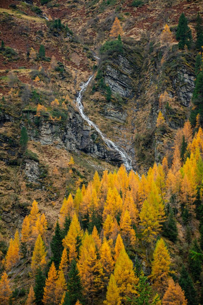 Photograph by Nicole Maria Wolff