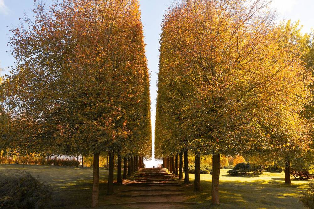 Photograph by Ольга