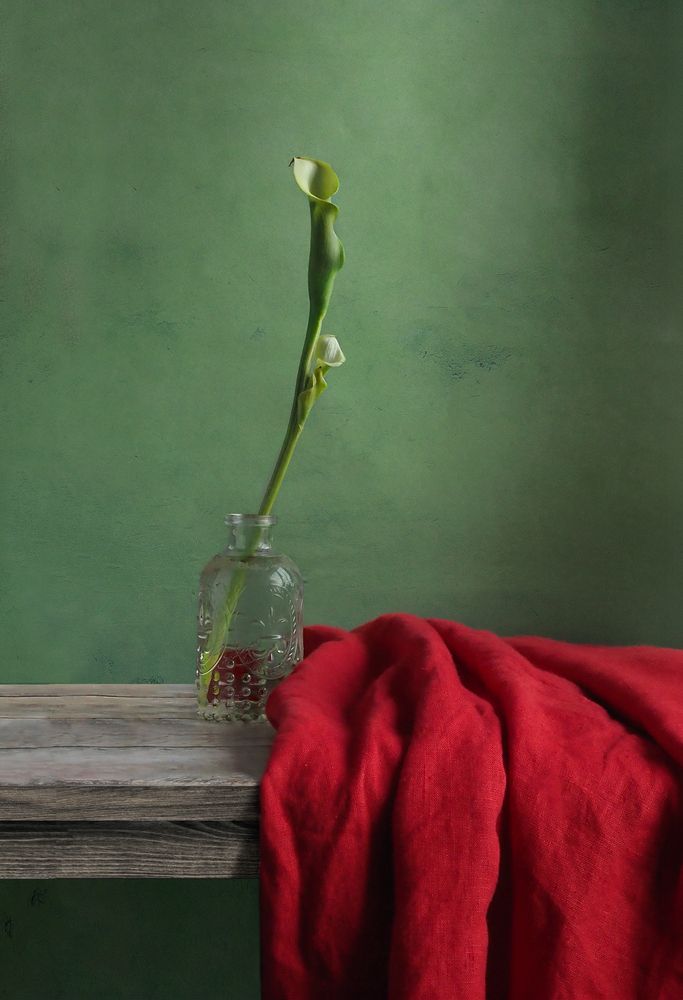 Photograph by Татьяна Кравченко