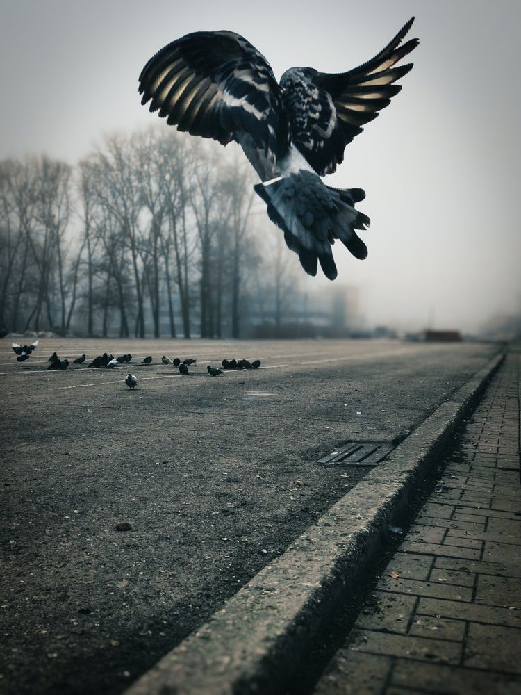 Photograph by Ольга Гребенникова