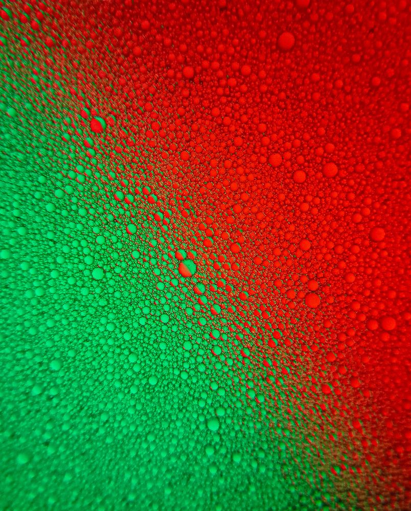 Photograph by Souvik Bhattacharyya