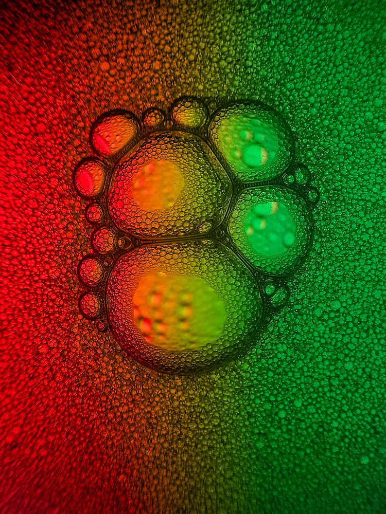 Photograph by Souvik Bhattacharyya