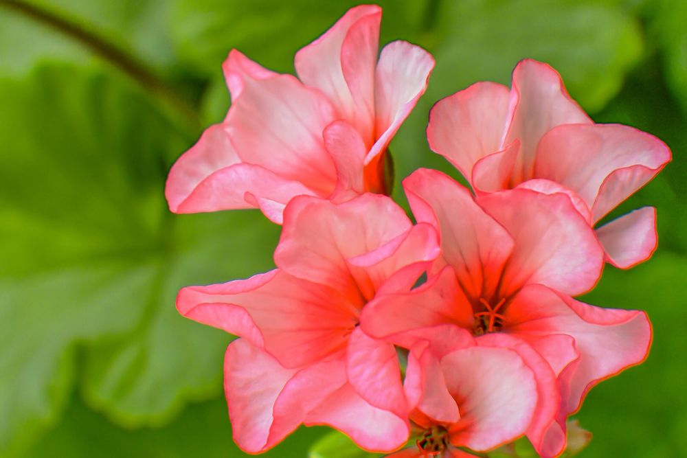 Фотография автора Гоголев Игорь