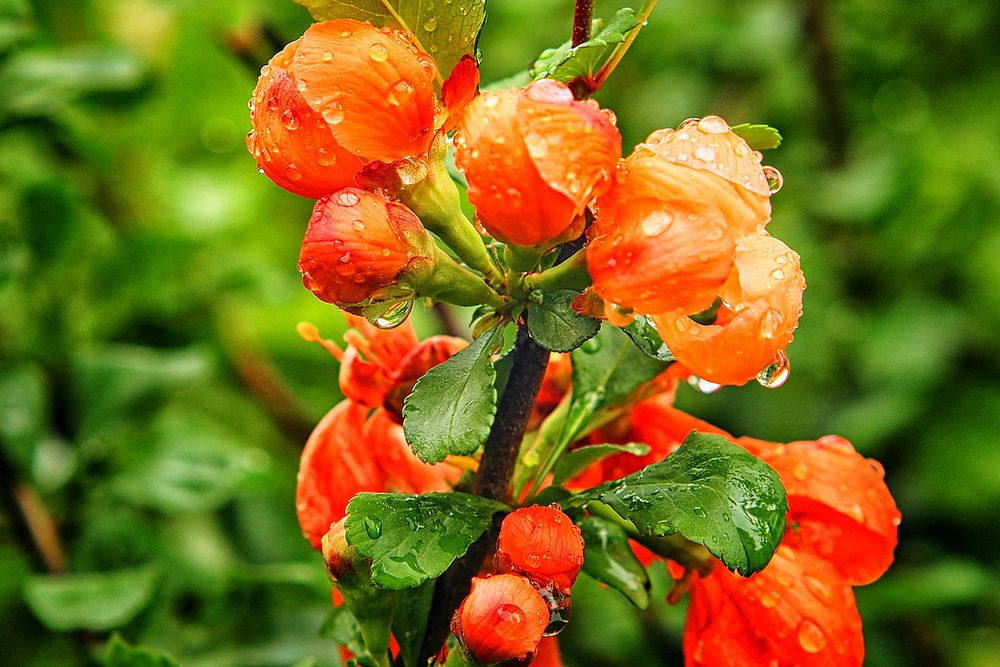 Фотография автора Гоголев Игорь