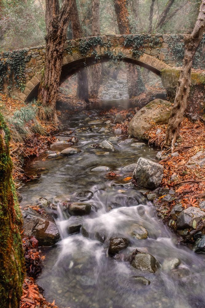 Photograph by Дьяченко Алёна