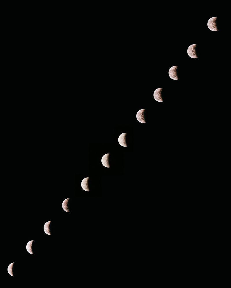 Photograph by Мороз Олег