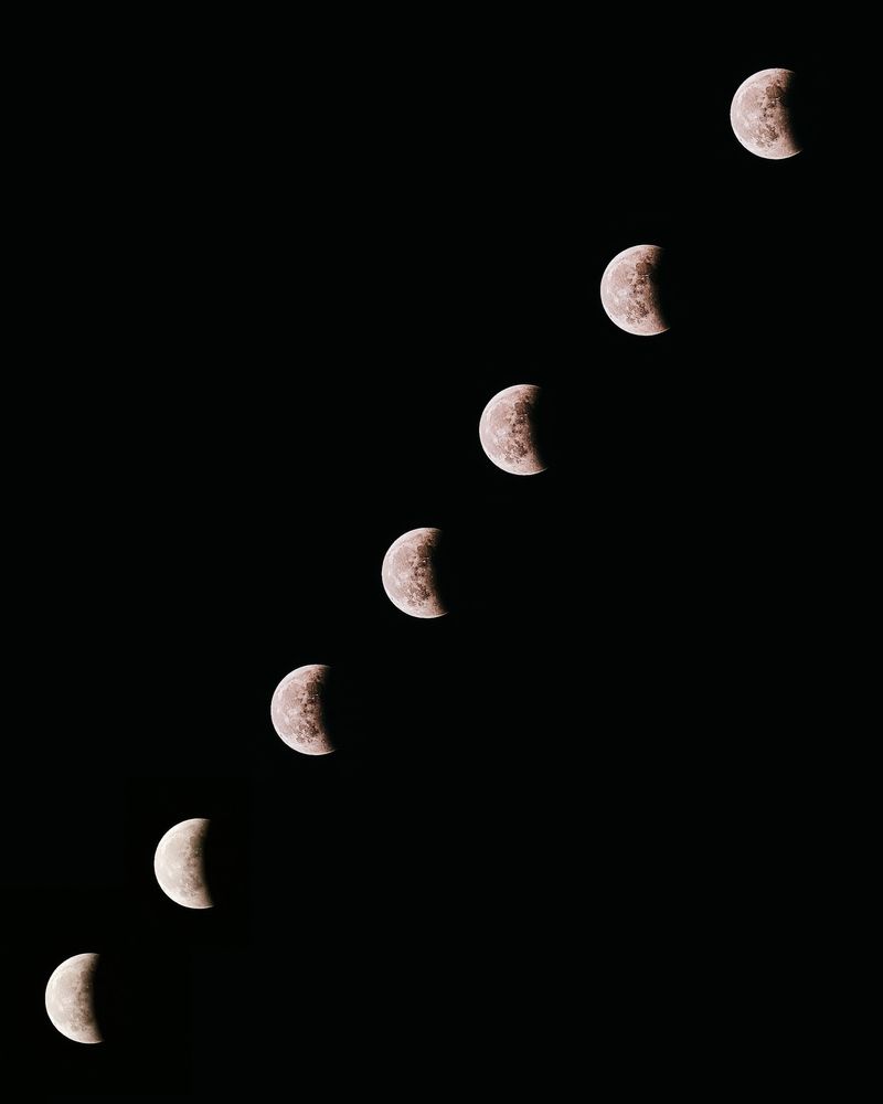 Photograph by Мороз Олег