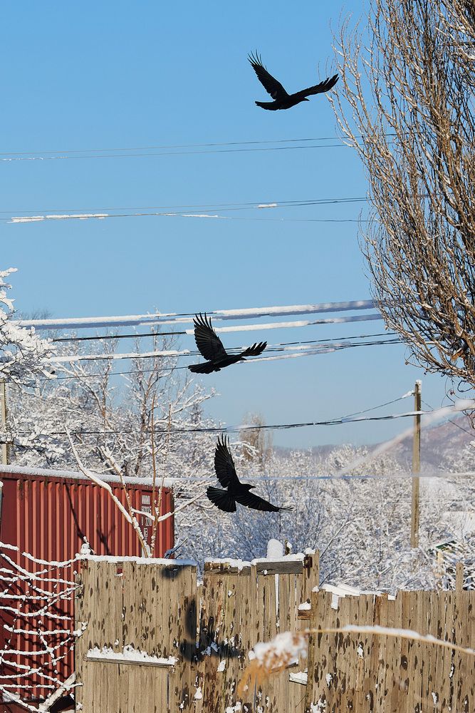 Photograph by Мороз Олег