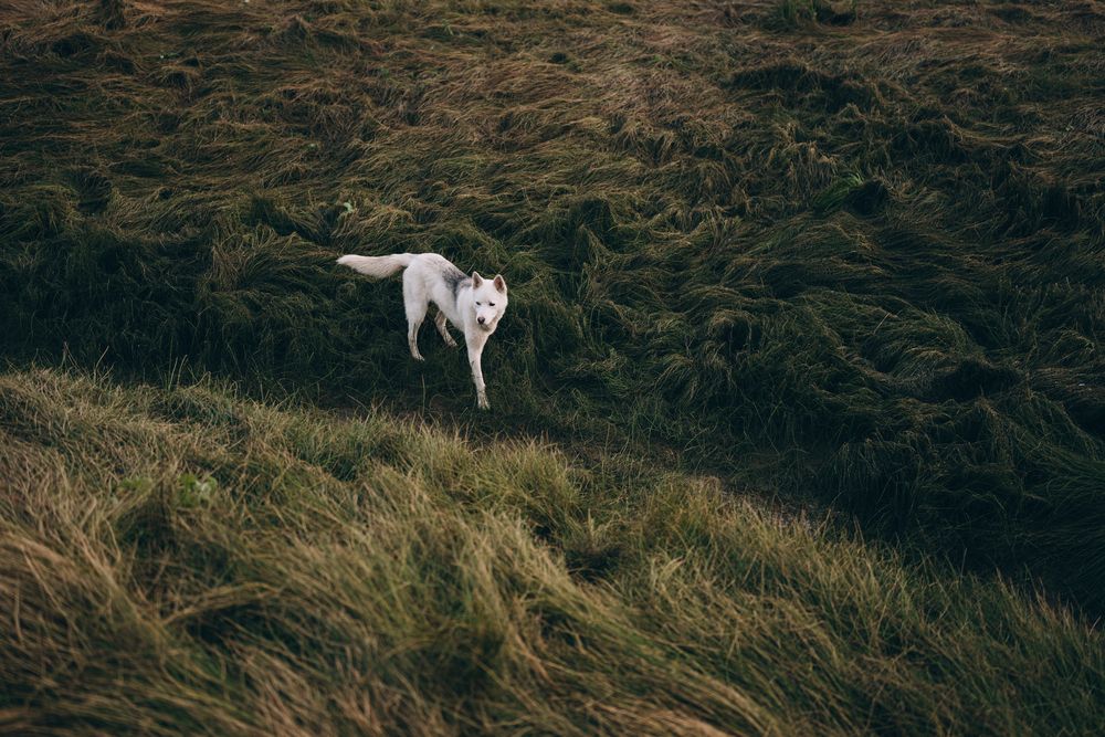 Фотография автора Мария Шишкина