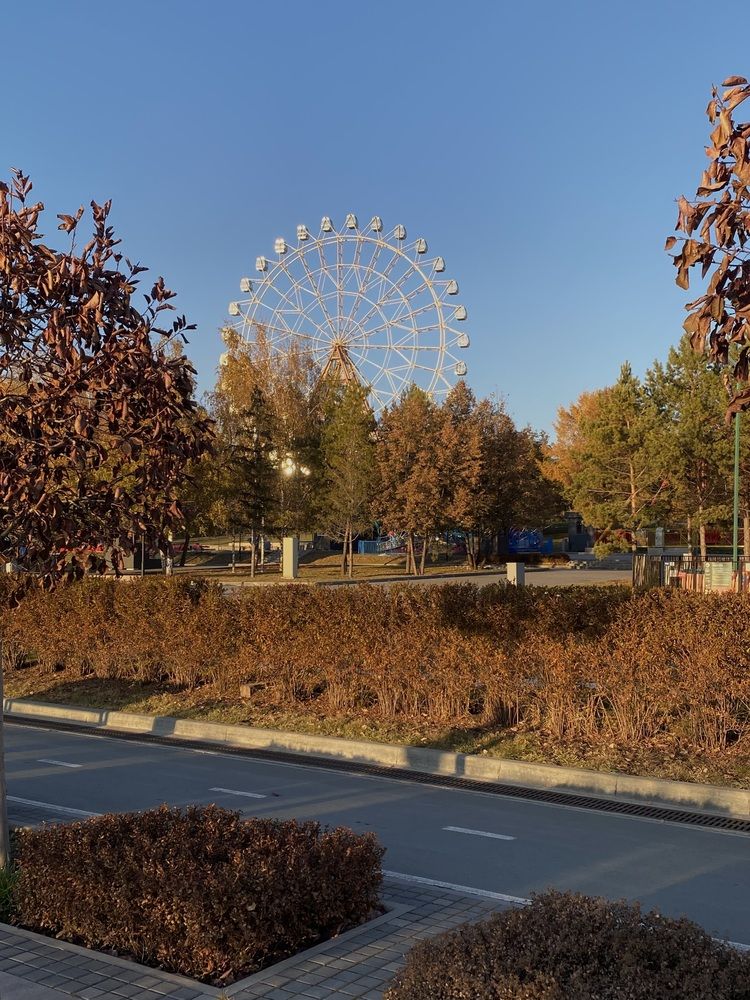 Photograph by Алиса Лукина