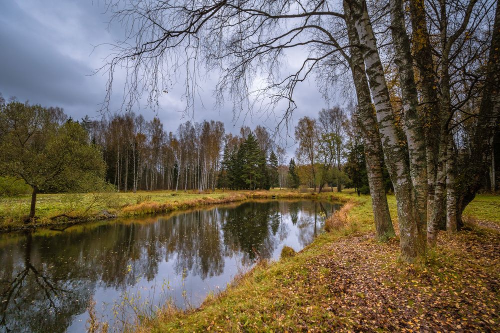 Верхний круглозальный пруд. Октябрь.