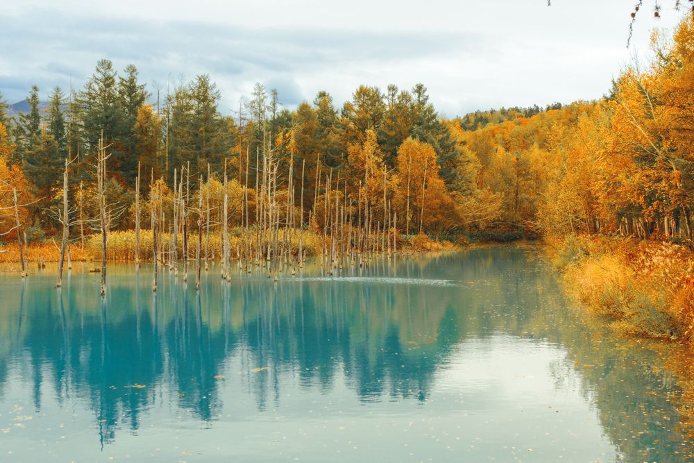 Фотография автора Kevin Christonar