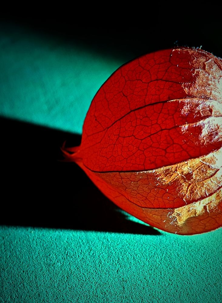 Photograph by Надежда Кангина