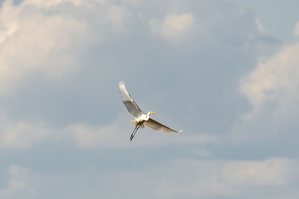 Photograph by Юлия Яковлева