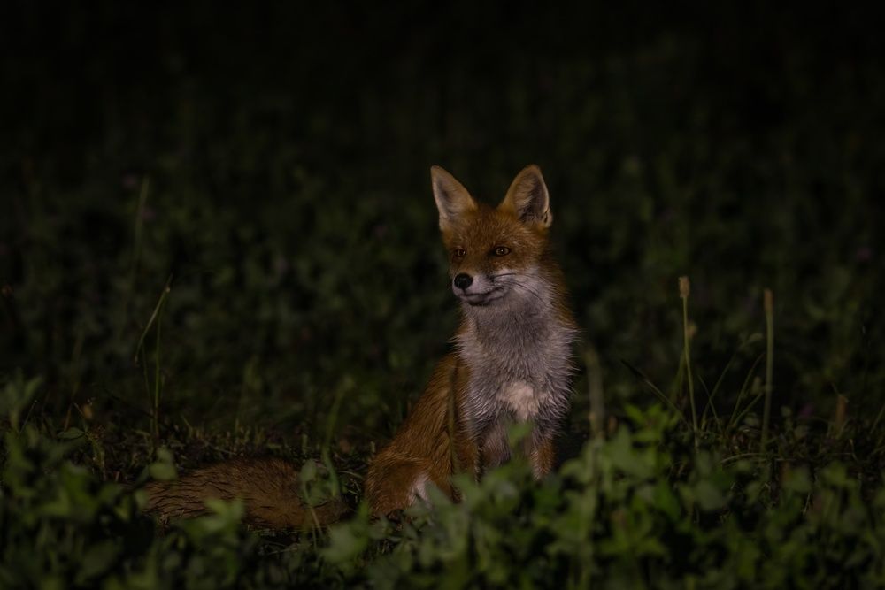Photograph by Хабаров Сергей