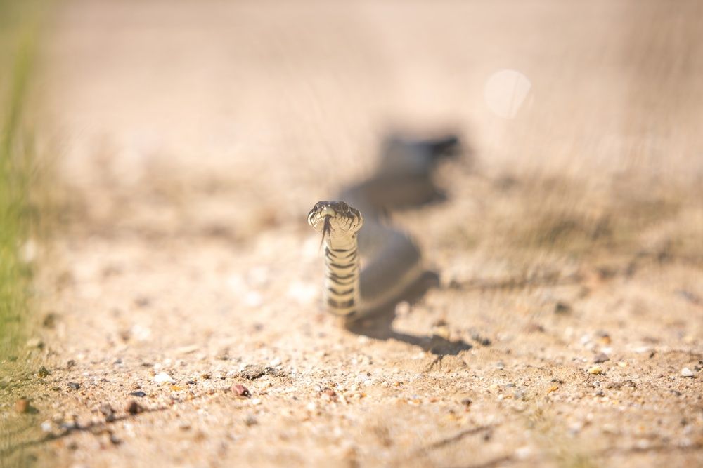 Photograph by Хабаров Сергей