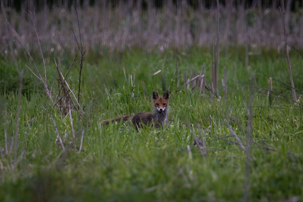 Photograph by Хабаров Сергей