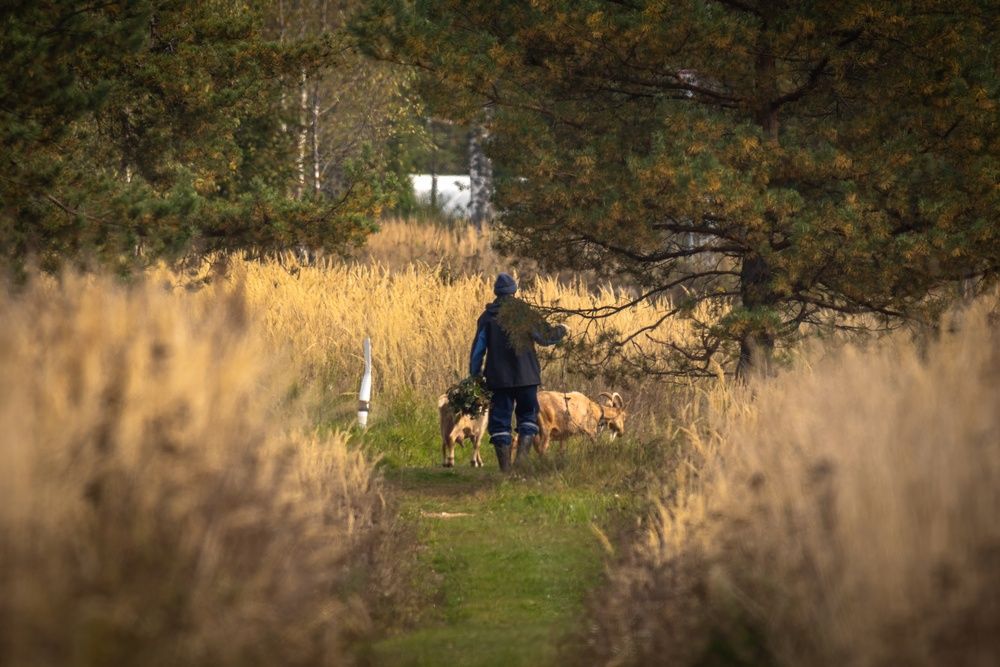 Photograph by Хабаров Сергей