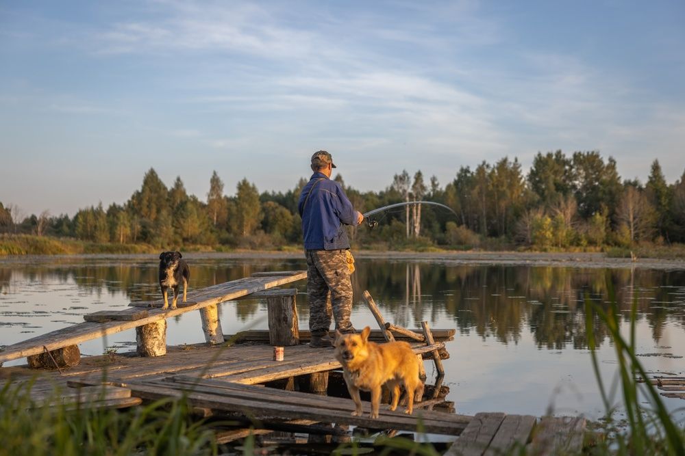 Photograph by Хабаров Сергей